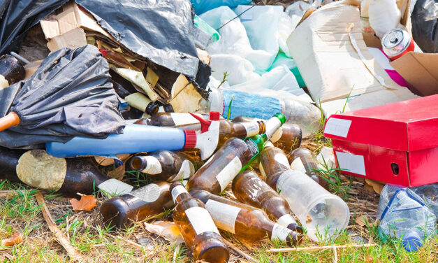 Aprovechamiento de residuos orgánicos en Heliconia