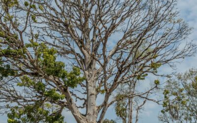 Amalfi protege el patrimonio cultural