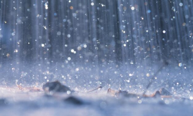 Anzá se prepara para la primera temporada de lluvias del año