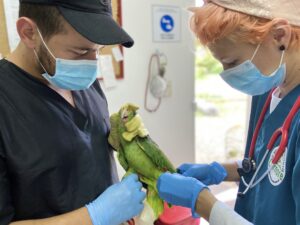 Hogar de Paso de Cornare, ubicado en El Santuario