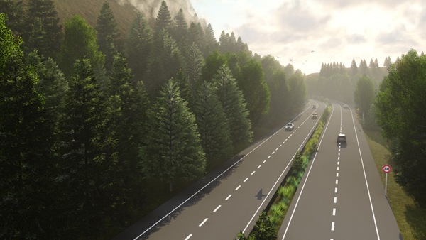 Con nuevas alternativas buscan salvar la vida de los animales en el Oriente antioqueño