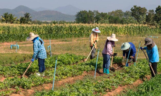 La asociatividad es la clave para que Antioquia progrese en la agricultura