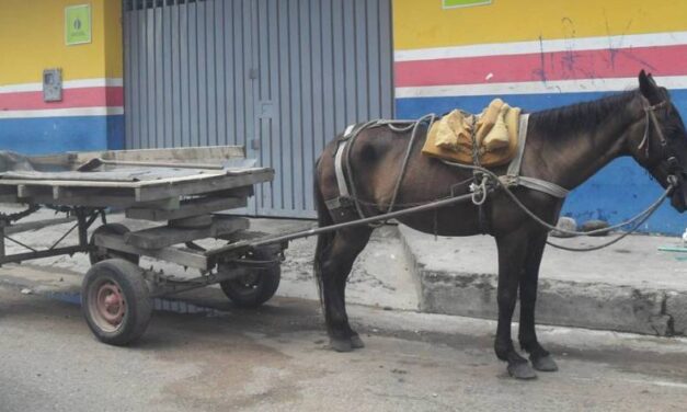 Reemplazo de vehículos de tracción animal es realidad en Turbo