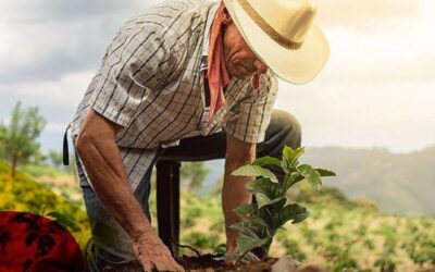 Detrás de cada alimento está el campo y su gente