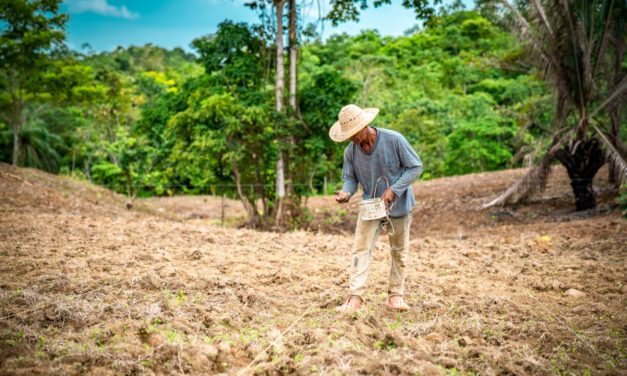 Antioquia logró una inversión récord del fondo Antioquia Siembra