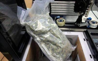 Capturado por llevar marihuana en un microondas