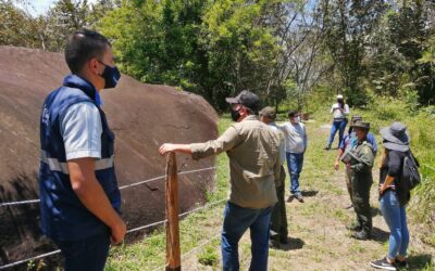 Dañaron petroglifos de Támesis