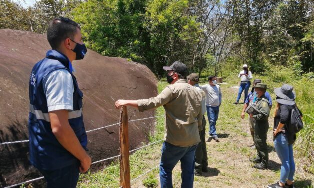 Dañaron petroglifos de Támesis