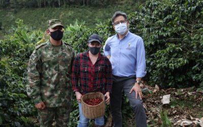 Desarrollos sociales en Montebello