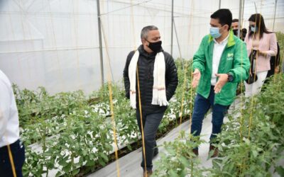 En El Carmen se inauguró un invernadero con tecnología 4.0