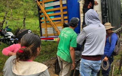 Nueva ubicación de reincorporados de las Farc en Ituango