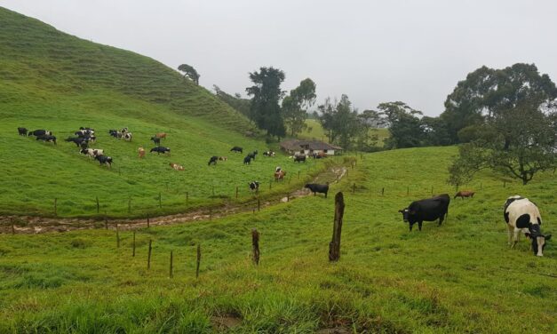 Girardota impulsa el agro