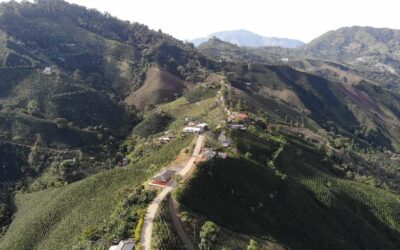 Pavimentarán el sector Palo Santo, Concordia