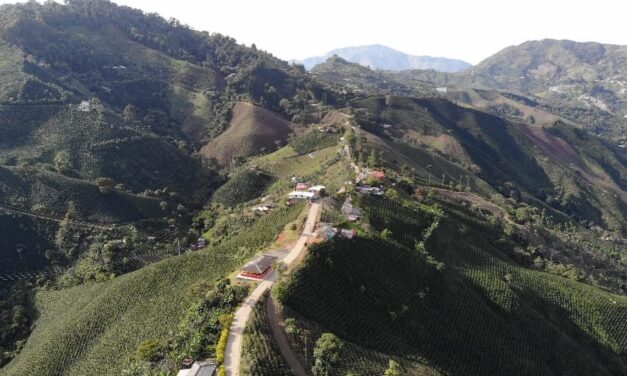 Pavimentarán el sector Palo Santo, Concordia