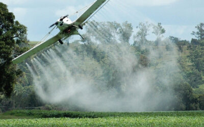 Preocupación en los campesinos antioqueños por la aspersión aérea con glifosato
