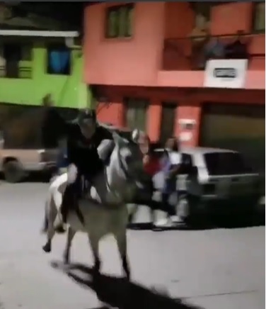Presunto maltratador de animales en Campamento, Antioquia.