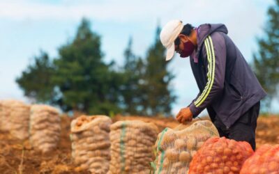 Prosigue el abastecimiento agroalimentario en el Norte, Suroeste y Bajo Cauca