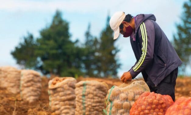 Prosigue el abastecimiento agroalimentario en el Norte, Suroeste y Bajo Cauca