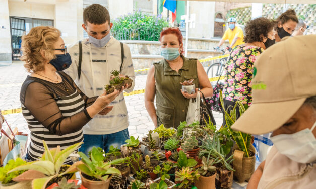 Regresó el Mercado Agroverde en Girardota