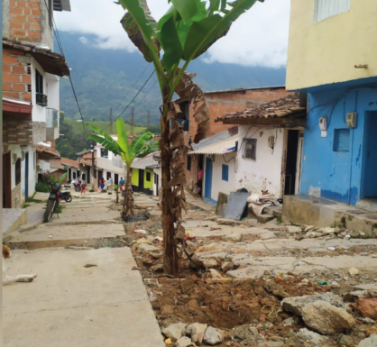 Habitantes de Cocorná sembraron plátano en una vía del municipio