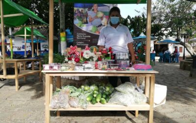 Regresó el mercado campesino a Maceo