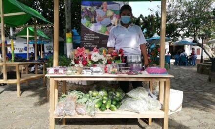 Regresó el mercado campesino a Maceo