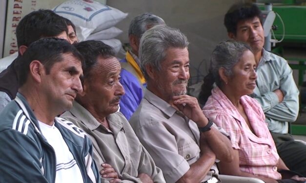 Escuelas de campo para agricultores en Dabeiba