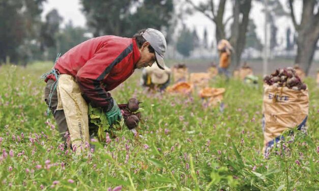Abastecimiento de alimentos agrícolas funciona con normalidad en Antioquia