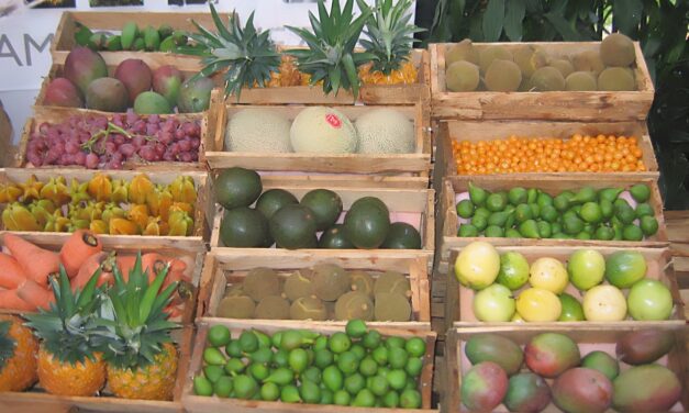 Abastecimiento de alimentos agrícolas y procesados continúan funcionando con normalidad en Antioquia