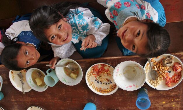 Nuevo proyecto de seguridad alimentaria en Caicedo