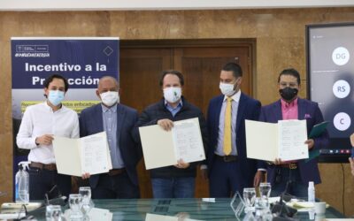 Se presentó el plan integral de acciones para el desarrollo del sector minero en el Nordeste