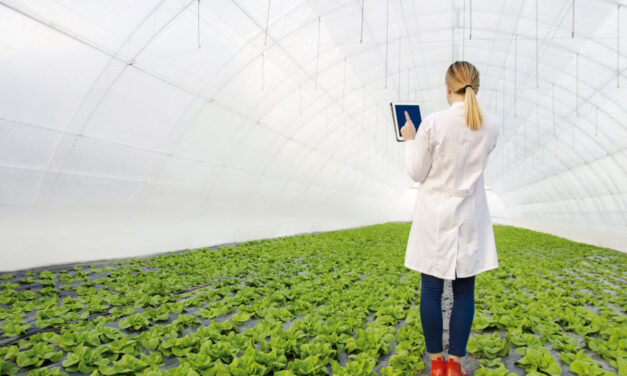 Capacitación frente al manejo de agroquímicos en Dabeiba