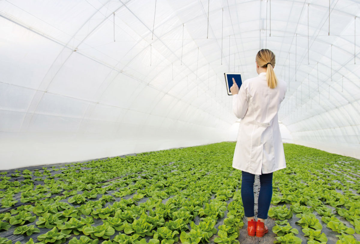 imageninterna-agroquimicos2