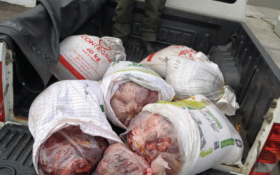 En Sonsón capturan a dos hombres que intentaban transportar carne incumpliendo las medidas sanitarias
