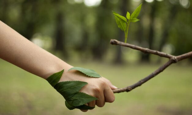 Día Mundial del Medio Ambiente
