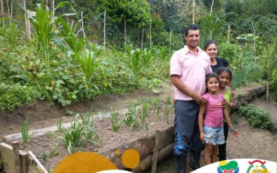 Yolombó fortalecer las huertas familiares campesinas
