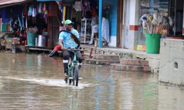 Se realizó la quinta sesión del Comité Científico para la Emergencia Climática