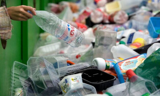 Nueva Asociación de Recicladores en San Pedro de Urabá