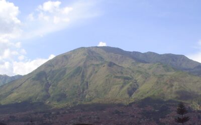 Cerro Quitasol, patrimonio ambiental para conservar