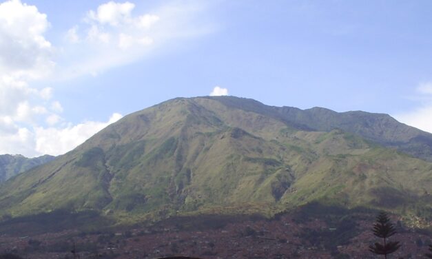 Cerro Quitasol, patrimonio ambiental para conservar
