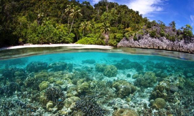 Colombia y aliados dialogan para detener la pérdida de la biodiversidad al año 2030