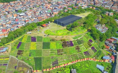 La transformación de una montaña de colores