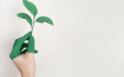 Anzá, comprometido con el cuidado del medio ambiente