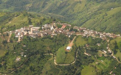 En Olaya le apuestan al diseño de experiencias