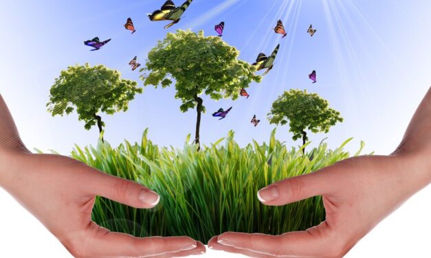 Aseo Global crea estrategias en la Semana Ambiental