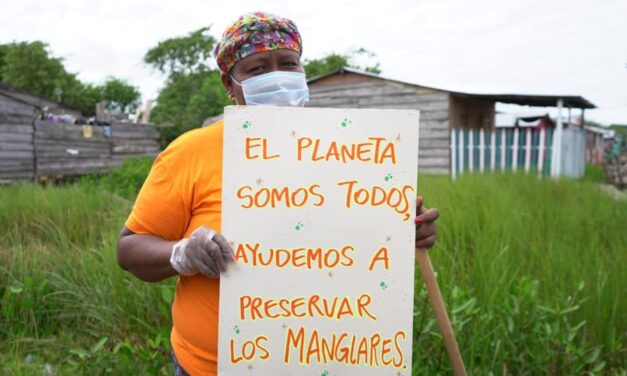 Conservación del Ecosistema de Manglar en Turbo