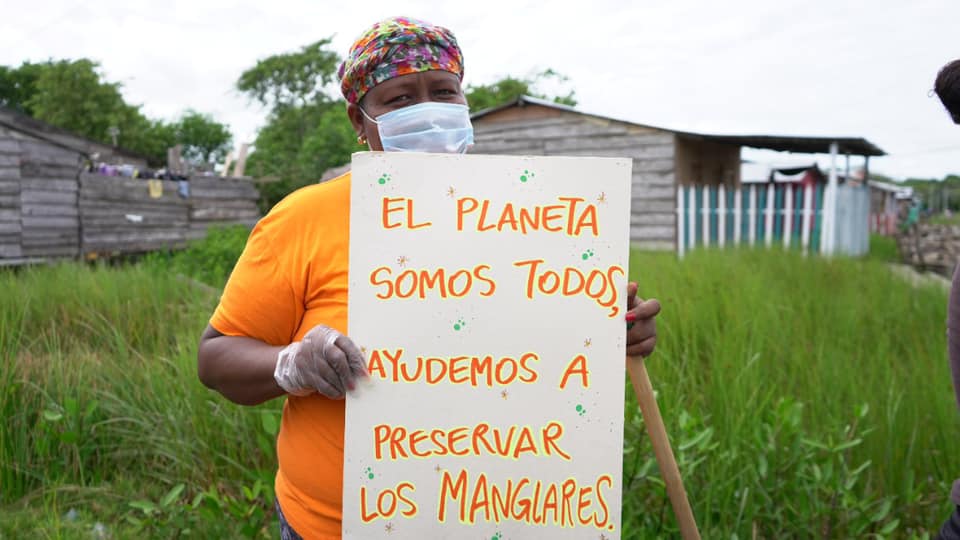 Conservación del Ecosistema de Manglar en Turbo