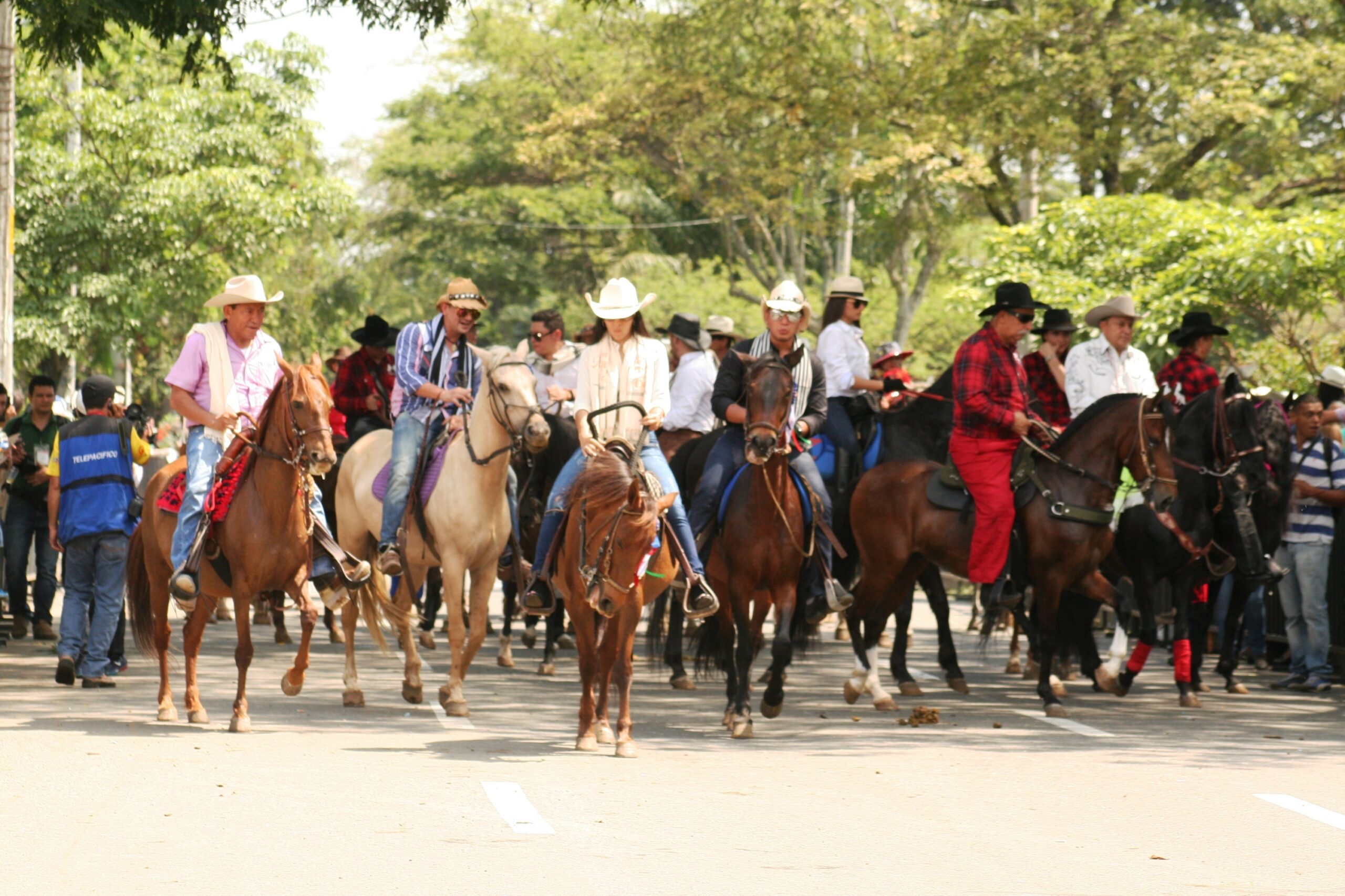 5a610c7c7b2b4 La Estrella regula las cabalgatas en el municipio