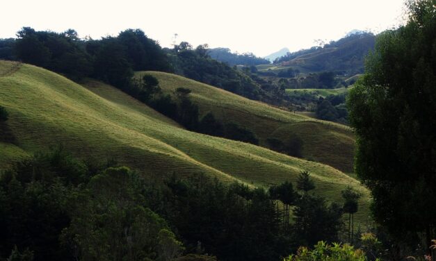 Cornare trabaja con 30 ONG por el desarrollo sostenible