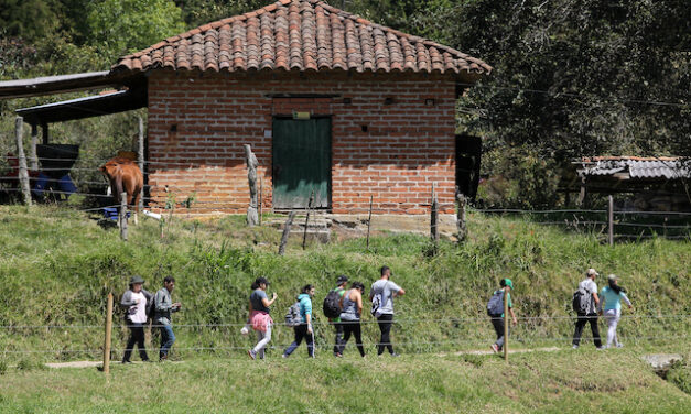 Caminadas del INDER Medellín